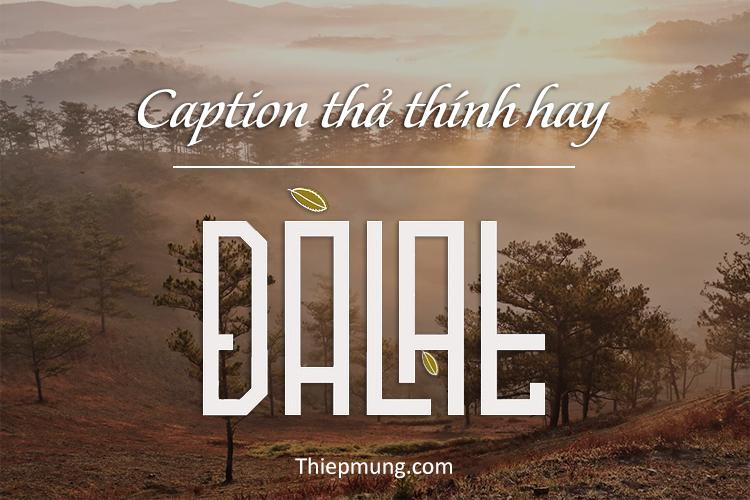 #101 STT về Đà Lạt hay ý nghĩa - Cap thả thính Đà Lạt ngắn cực lãng mạn