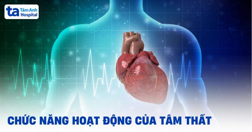 Tâm thất là gì?