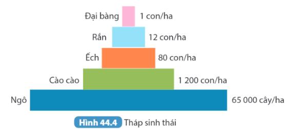 Bài 44. Hệ sinh thái trang 180, 181, 182 SGK Khoa học tự nhiên 8 - Kết nối tri thức</>