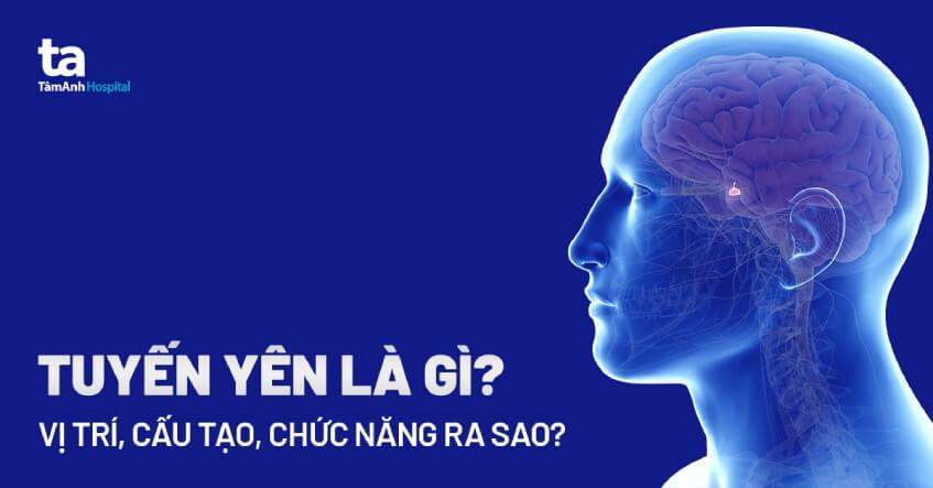 tuyến yên