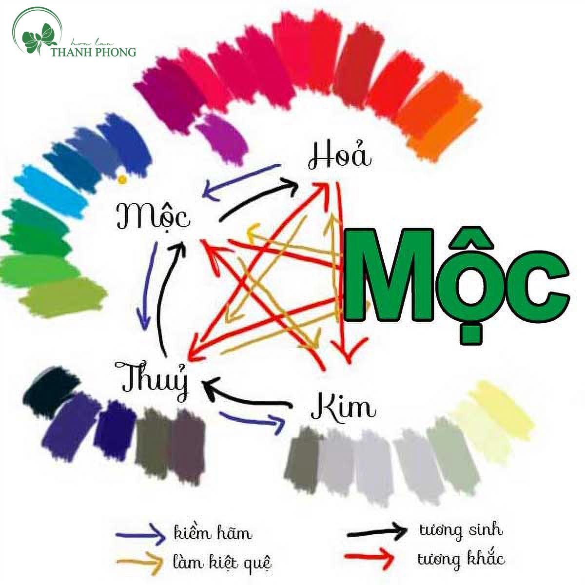 Mệnh Mộc hợp với loài hoa nào?