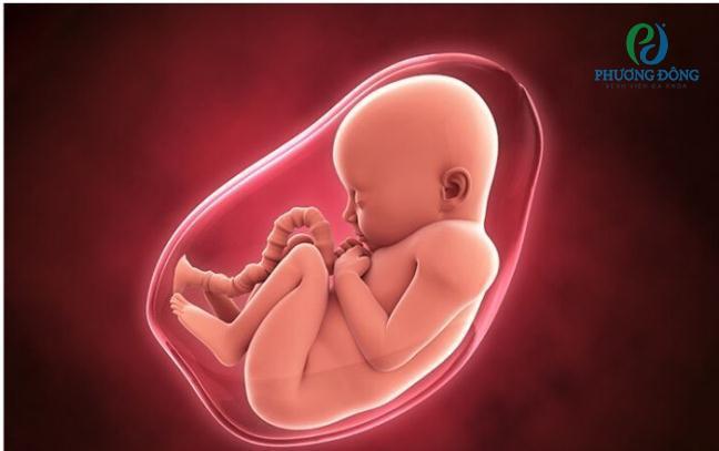 Dấu hiệu thai nhi đói là gì?