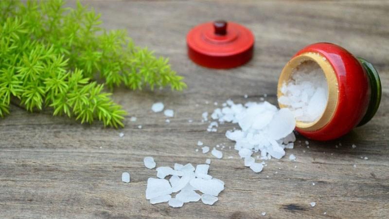 Tác dụng và lưu ý khi sử dụng long não cho sức khỏe